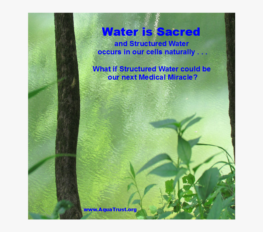 20160414 Water Is Sacred Meme - Book Cover, HD Png Download, Free Download