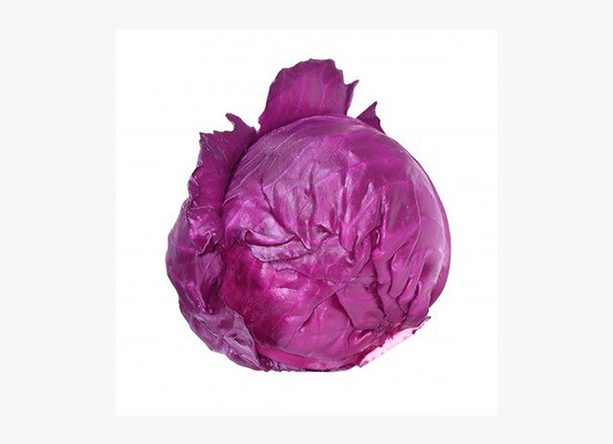 Red Cabbage Png - Red Cabbage, Transparent Png, Free Download