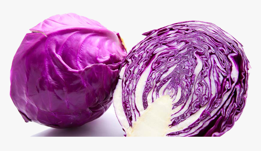 Purple Cabbage Png Image - Different Type Of Cabbage Name, Transparent Png, Free Download
