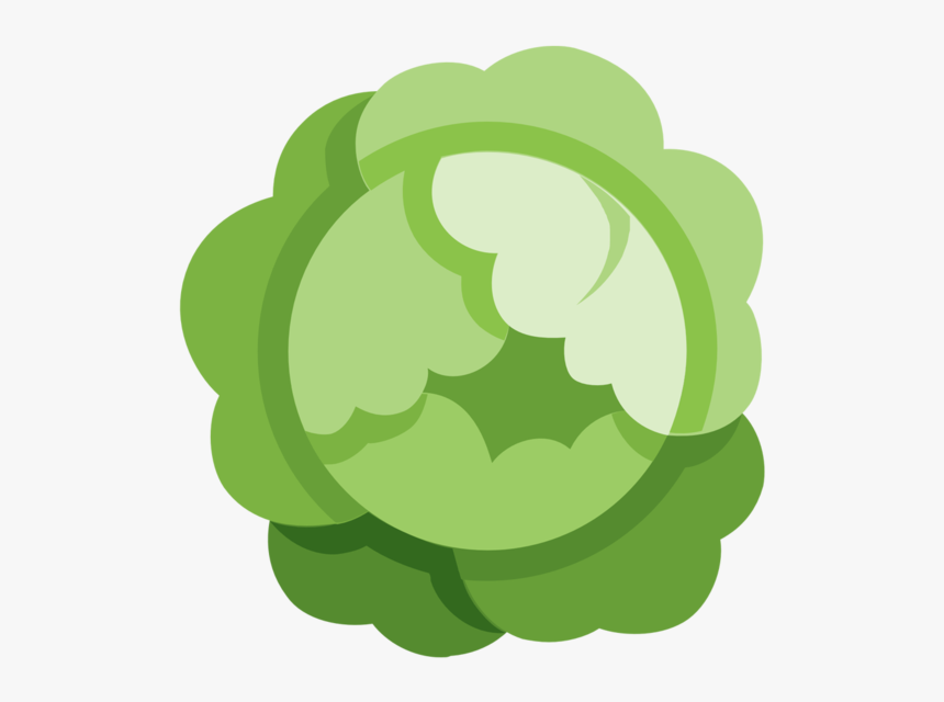 Cabbageco, HD Png Download, Free Download
