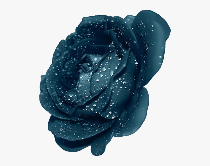 Dark Blue Rose Flower Clipart , Png Download - Purple Roses Transparent, Png Download, Free Download