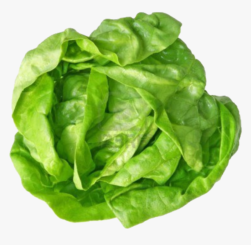 Green Cabbage Png Free Image Download - Zelena Salata, Transparent Png, Free Download