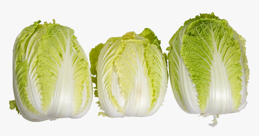 Napa-threes - Iceburg Lettuce, HD Png Download, Free Download