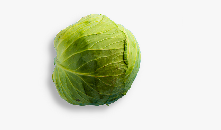 Iceburg Lettuce, HD Png Download, Free Download