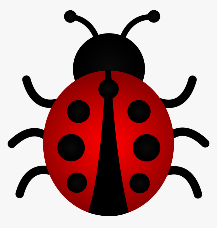 Cute Cartoon Ladybug Pictures - Ladybug Clipart, HD Png Download, Free Download