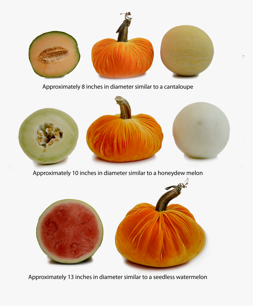 Pumpkins Png, Transparent Png, Free Download