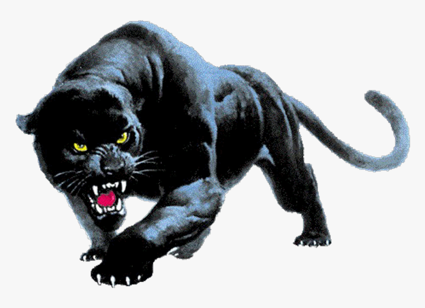 Panther Desktop Wallpaper Clip Art - Devon Meadows Football Club, HD Png Download, Free Download