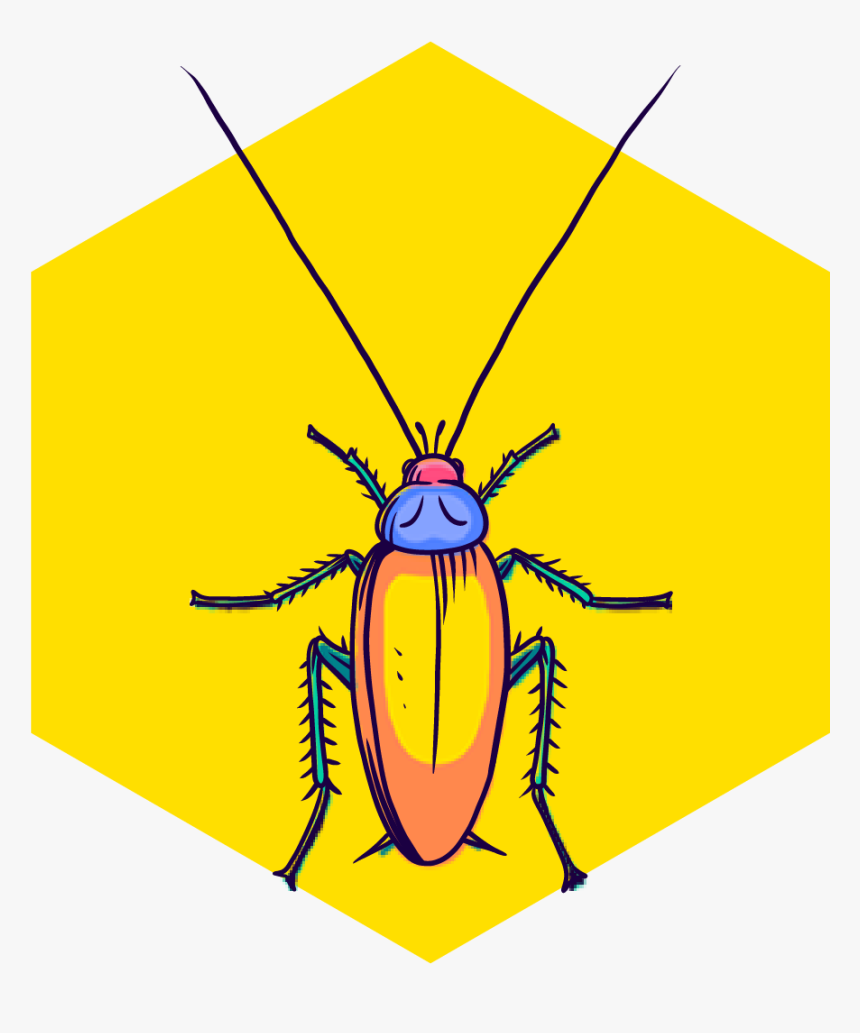 Cockroach - Beetle, HD Png Download, Free Download