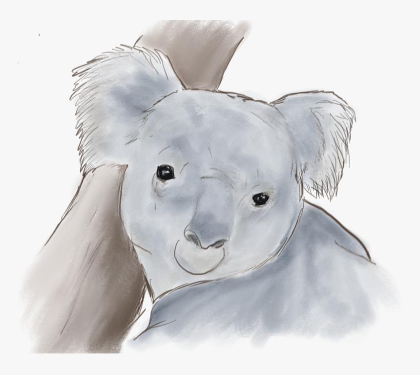 Koala, HD Png Download, Free Download