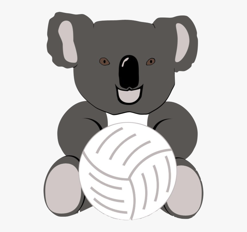 Koala, HD Png Download, Free Download