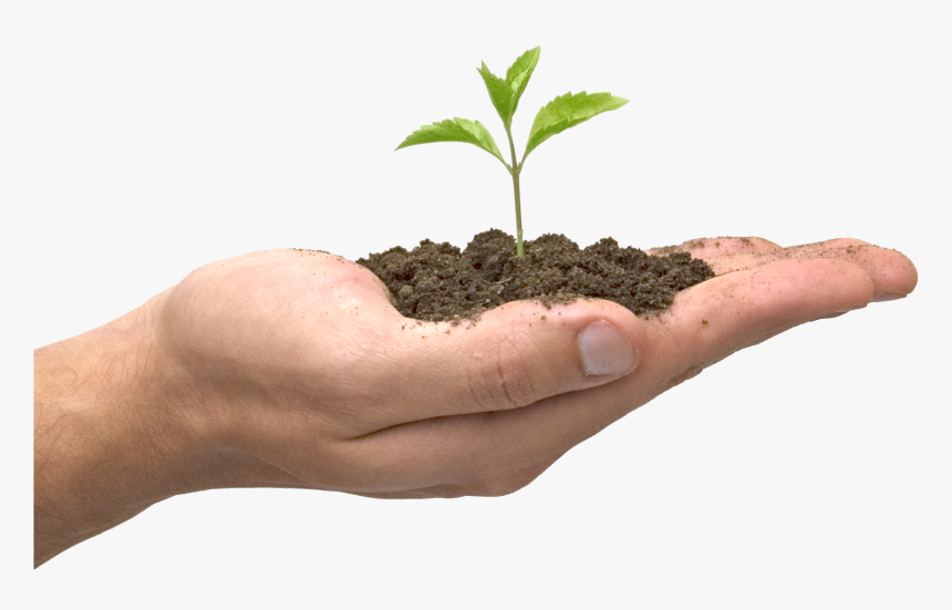 Soil In Hand Png - Seed Plant, Transparent Png, Free Download