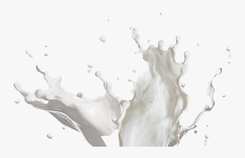 Vector Milk Splash - Transparent Milk Splash Png, Png Download, Free Download