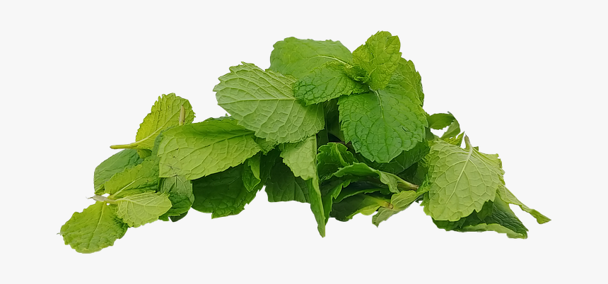 Spearmint, HD Png Download, Free Download