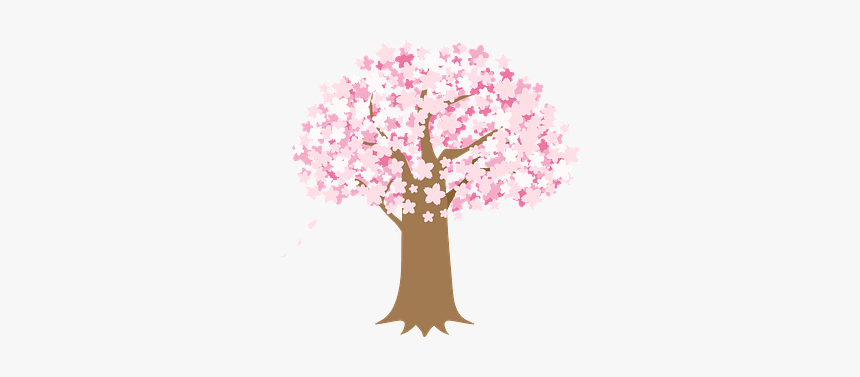 Cherry Blossoms Tree Clipart - Cherry Blossom Picnic Drawing, HD Png Download, Free Download