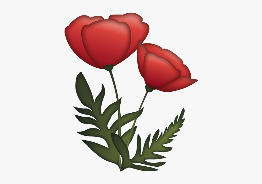 Tulip, HD Png Download, Free Download