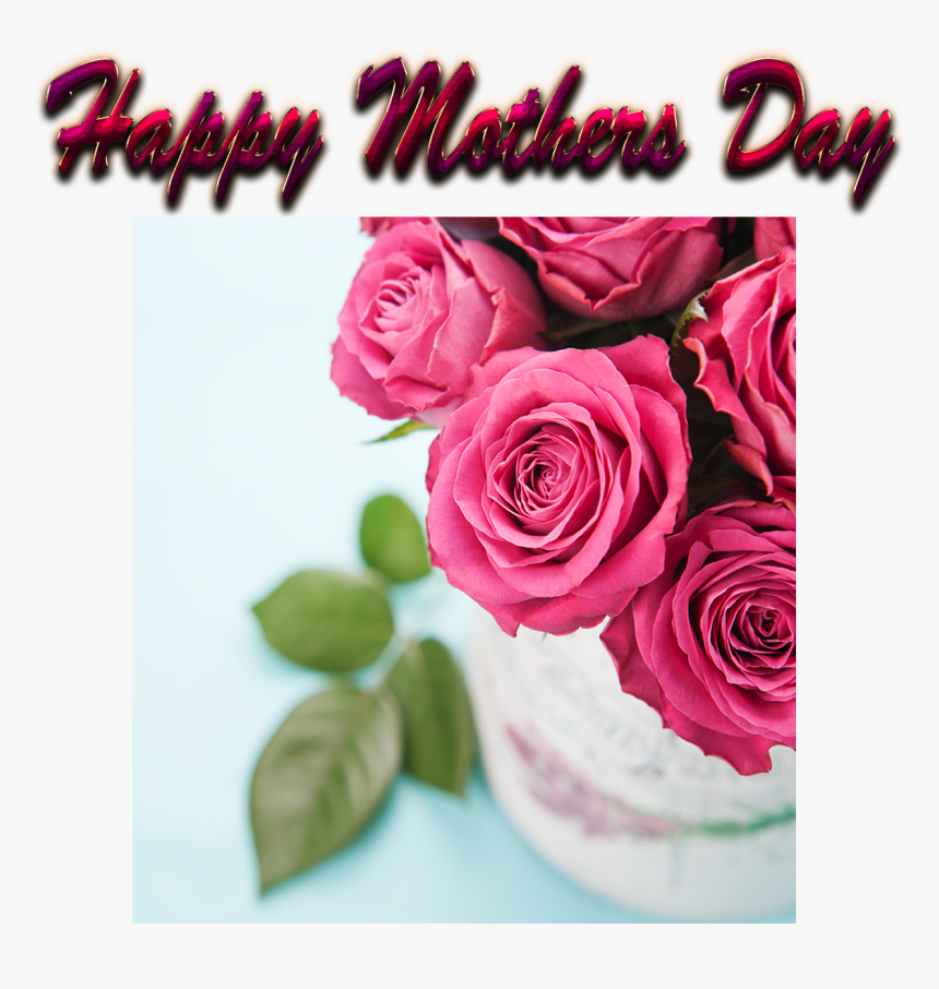 Mothers Day Greetings Png Free Image Download - Russian Roses, Transparent Png, Free Download