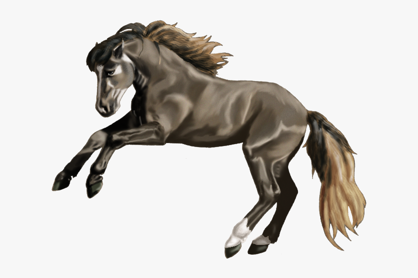 Stallion, HD Png Download, Free Download