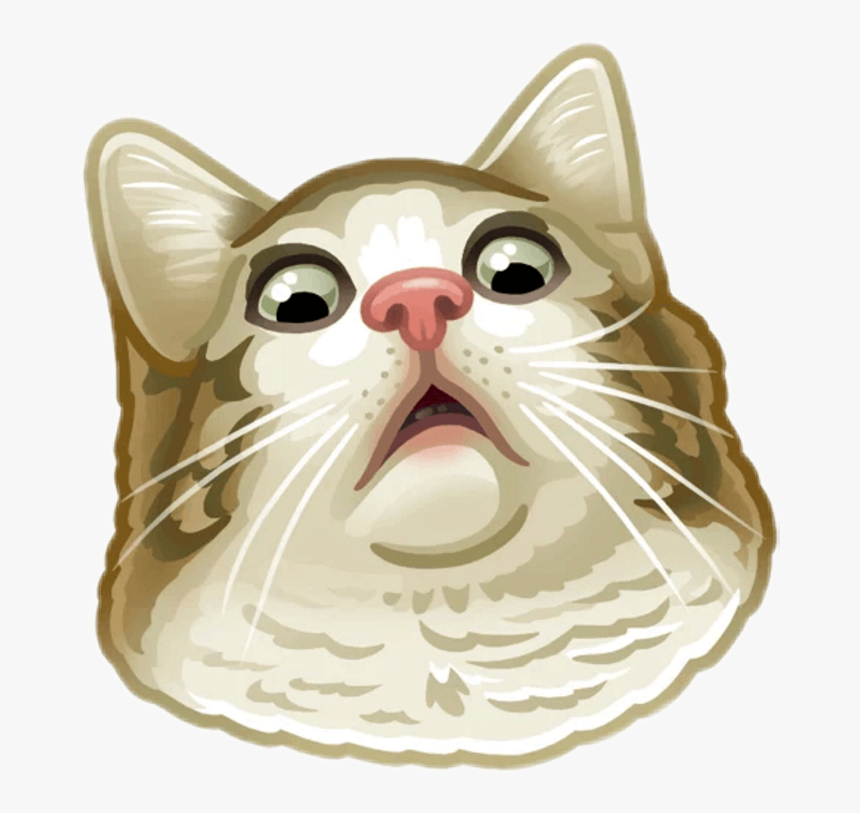 Wtf Face Png , Png Download - Telegram Cat Stickers Png, Transparent Png, Free Download