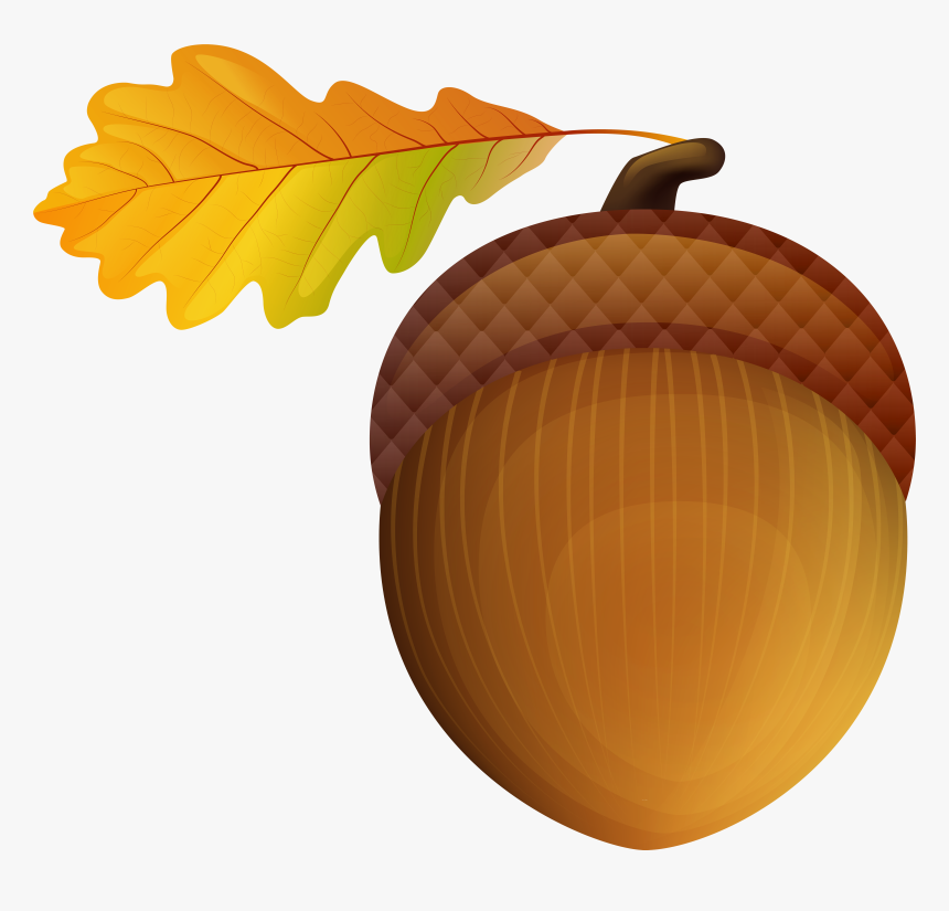 Acorn Clipart Autumn, HD Png Download, Free Download