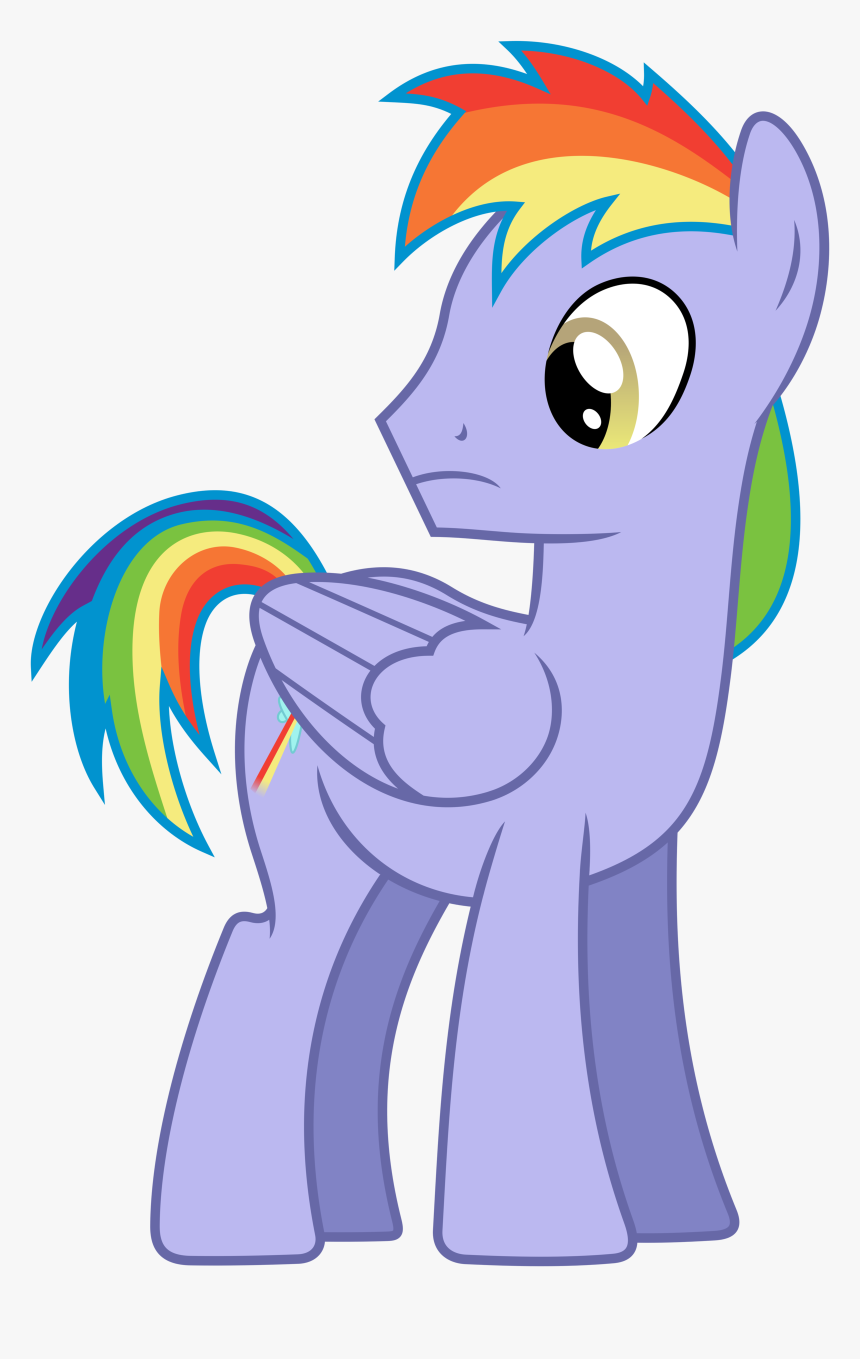 Vector By 90sigma - My Little Pony Rainbow Dash Father, HD Png Download, Free Download