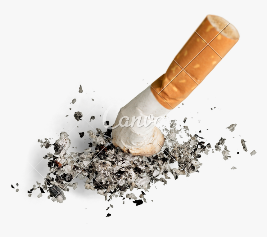 Cigarette Butt Png - Cigarette And Ashes Png, Transparent Png, Free Download