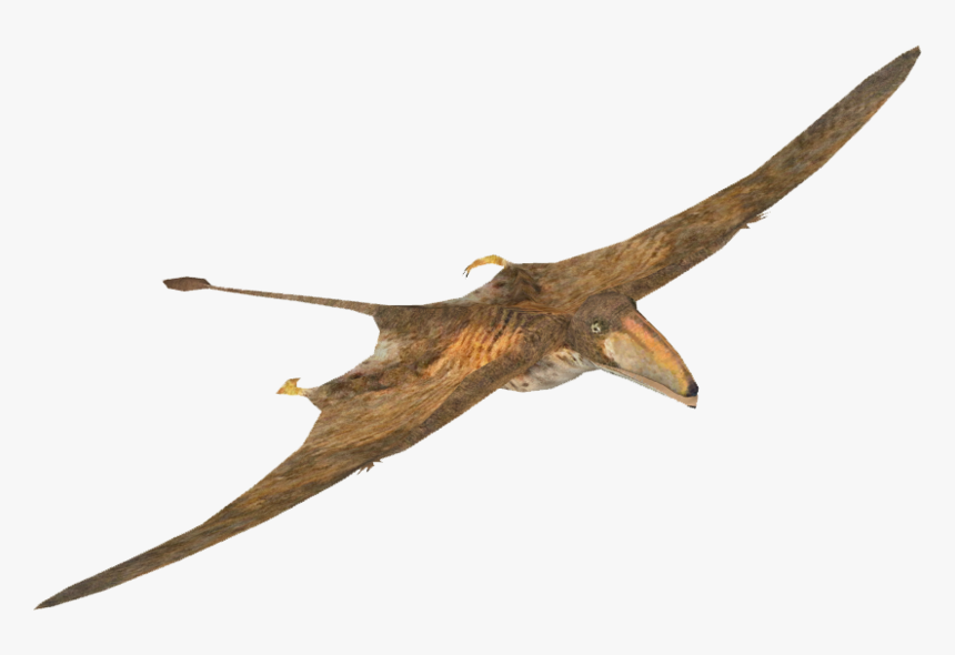 Pterosaurs Png Picture - Walking With Dinosaurs Peteinosaurus, Transparent Png, Free Download