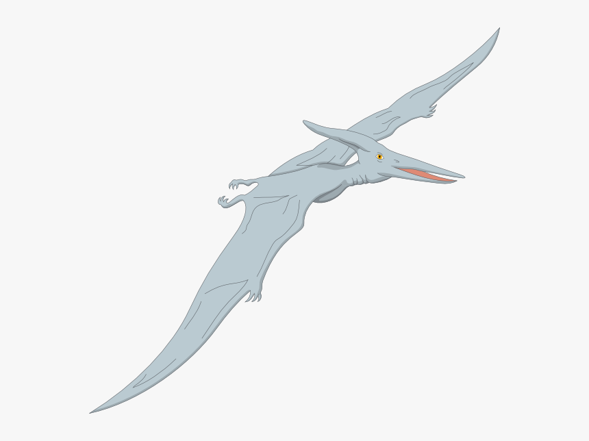 10 Fun Facts About Pterodactyls, HD Png Download, Free Download