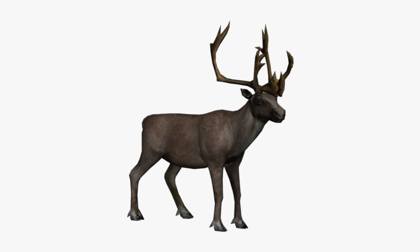 Caribou Transparent, HD Png Download, Free Download