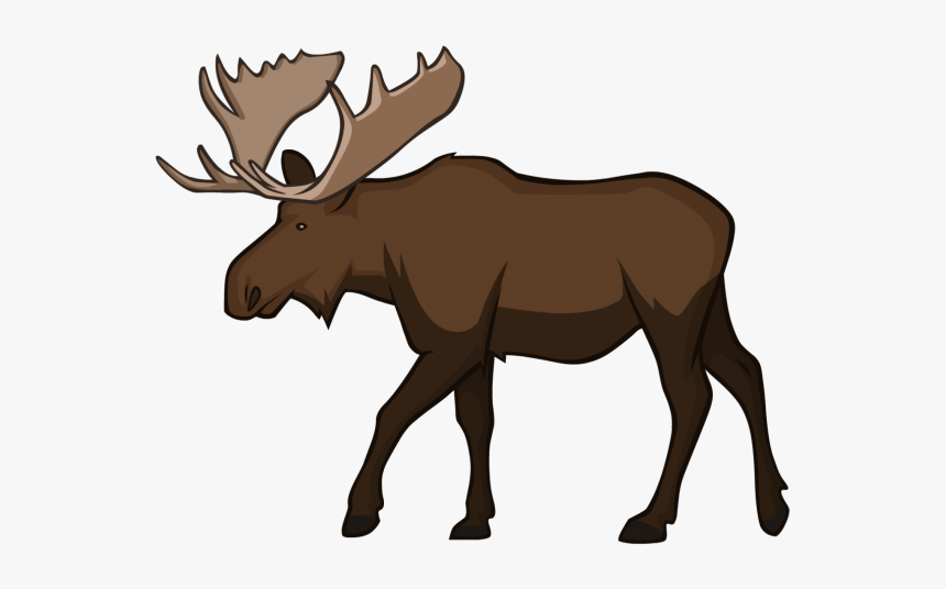 Transparent Background Moose Clipart, HD Png Download, Free Download