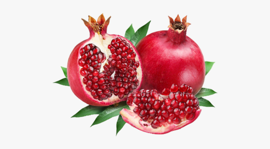 Portable Network Graphics Clip Art Transparency Vector - Pomegranate Png, Transparent Png, Free Download
