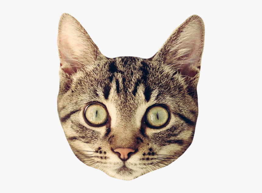 Cat Head Sticker Png - Cat Rug, Transparent Png, Free Download