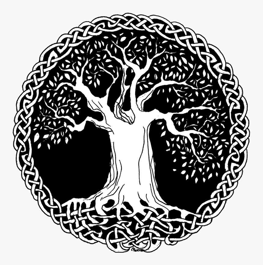 Tree Of Life - Celtic Tree Of Life Png, Transparent Png, Free Download