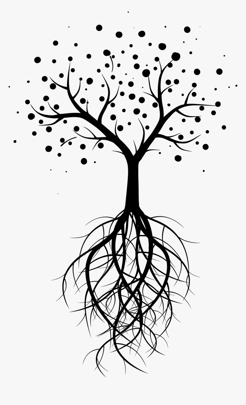 Transparent Family Tree With Roots Clipart - Transparent Tree Of Life, HD Png Download, Free Download