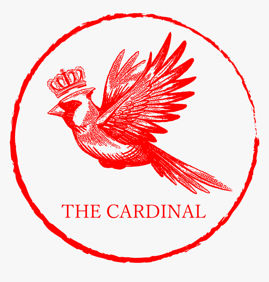 Transparent Background Red - Dagprogramma Bruiloft, HD Png Download, Free Download