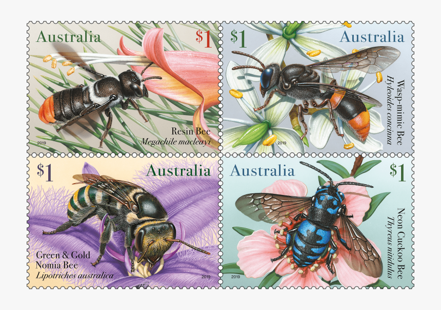 Transparent Bees Png - Australian Stamps 2019 Native Bees, Png Download, Free Download