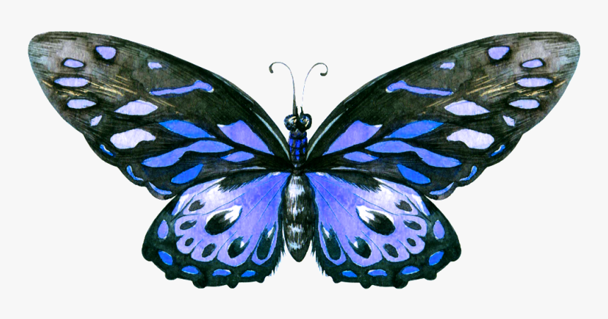 Hand Painted A Blue Butterfly Png Transparent - Painted Wood Butterfly, Png Download, Free Download