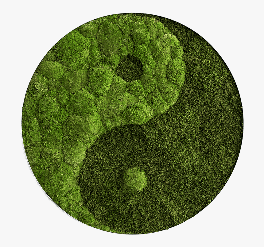 Tablouri Cu Licheni Decorativi, HD Png Download, Free Download