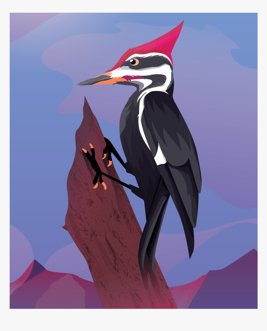 Pileated Woodpecker, HD Png Download, Free Download