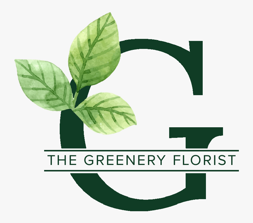The Greenery Florist - Tree, HD Png Download, Free Download