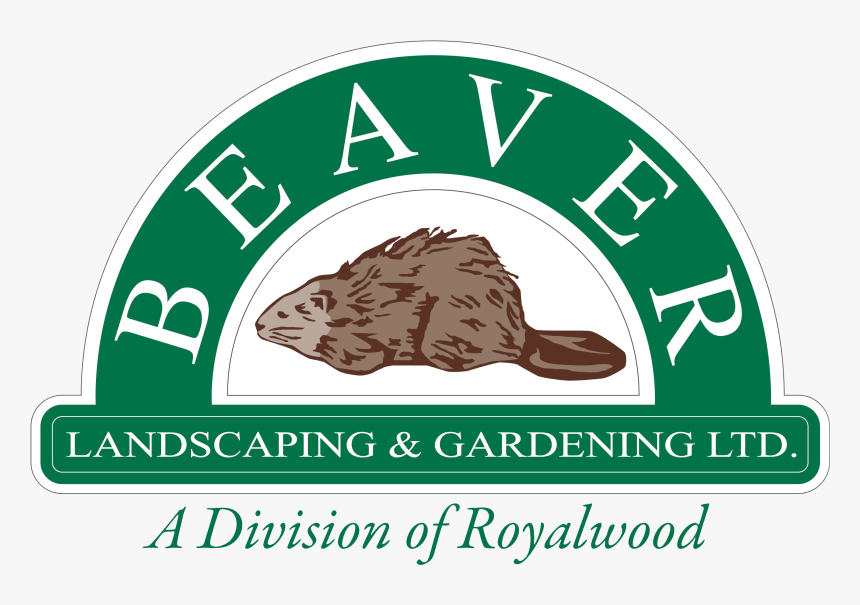 Beaver Landscaping & Gardening, HD Png Download, Free Download