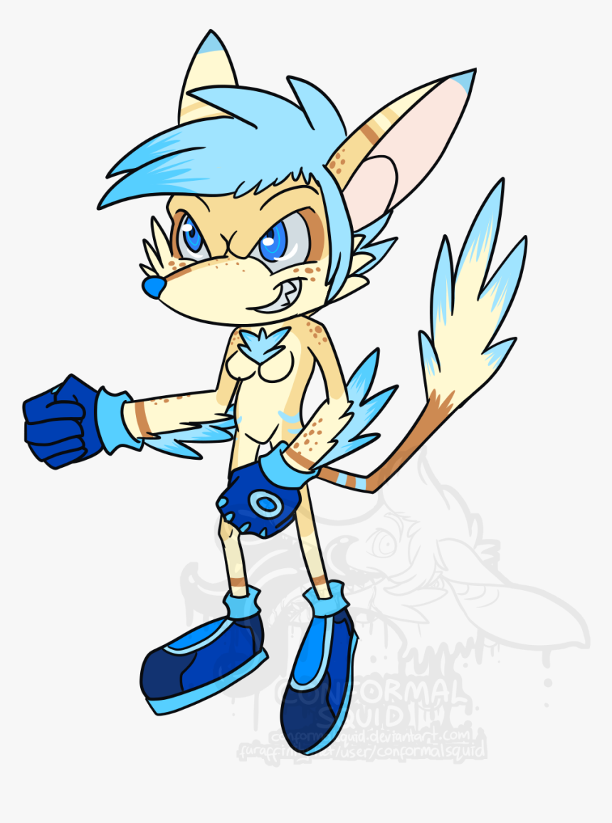 Kayden The Sanic - Cartoon, HD Png Download, Free Download