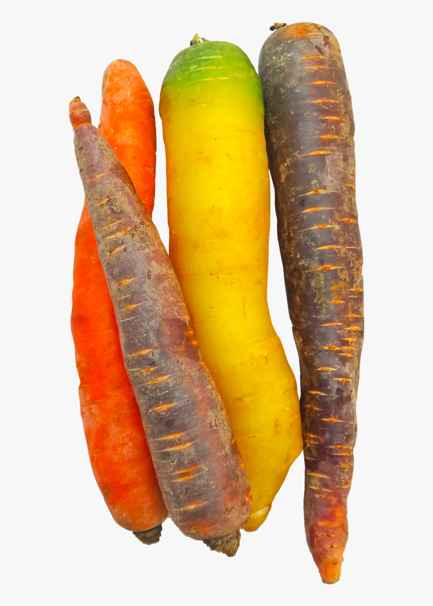 Carrots Rainbow Food Free Photo - Food, HD Png Download, Free Download