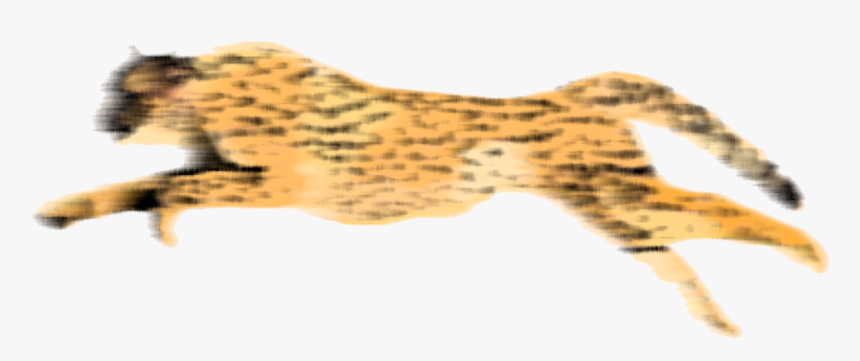 Transparent Cat Gif Png - Cheetah Gif Png, Png Download, Free Download