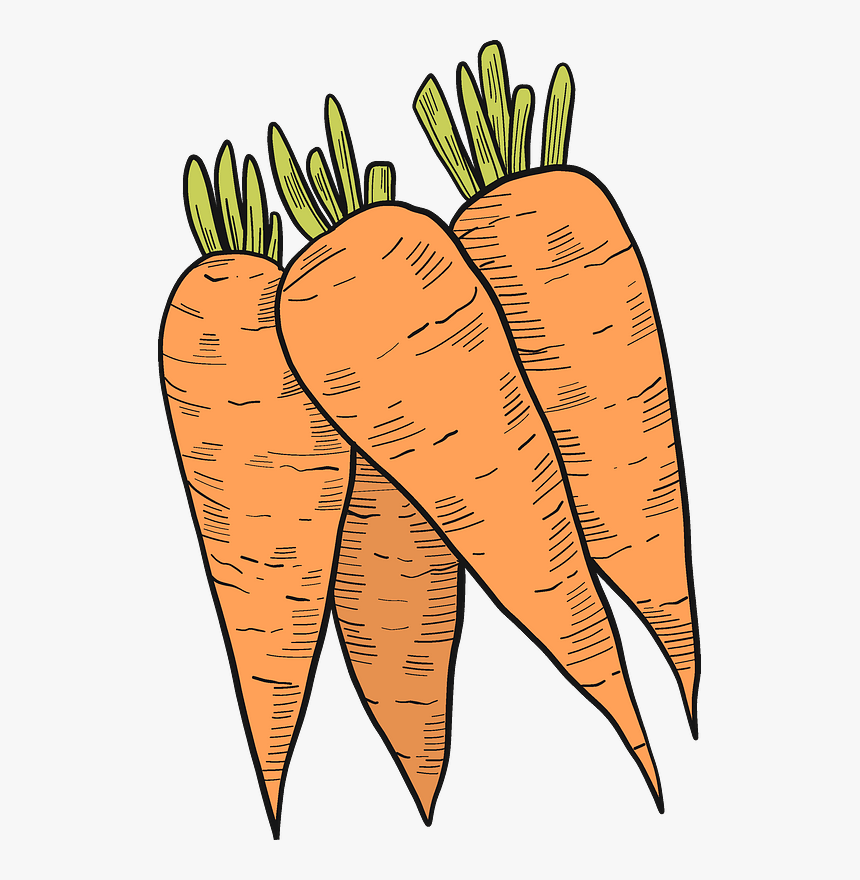 Carrots Clipart - Carrot, HD Png Download, Free Download