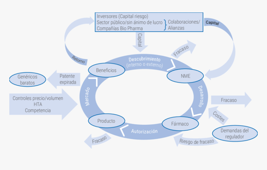 Circle, HD Png Download, Free Download