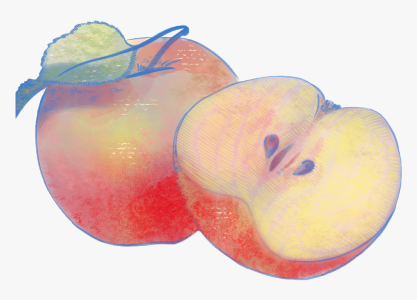 Apple, HD Png Download, Free Download