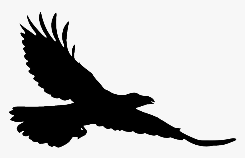 Silhouette Flying Falcon Png Transparent Image - Raven Flying Clip Art, Png Download, Free Download