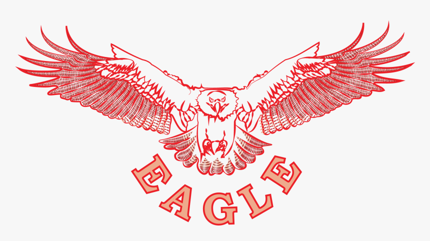 Osprey, Eagle, Falcon , Png Download - Golden Eagle, Transparent Png, Free Download