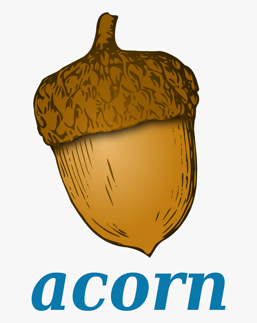 Acorn Cartoon Png, Transparent Png, Free Download