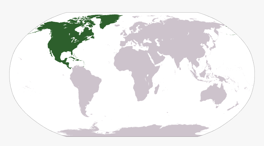 Location Of Flightless Birds In World Map, HD Png Download, Free Download